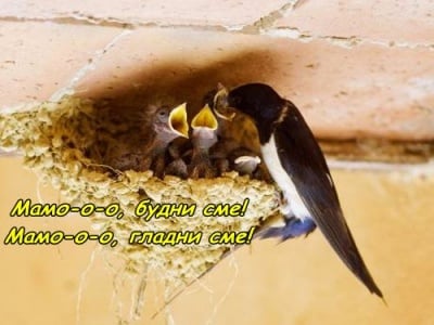 Майките не могат спят до късно