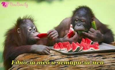 "Едно за теб и четири за мен"
