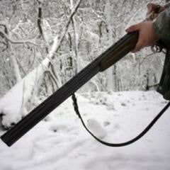 Наложена е глоба от 3 500 лв. в Плевен за жестокост към кучета