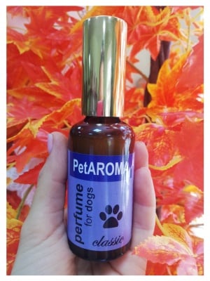 Парфюм за мъжки кучета - Mr Dog