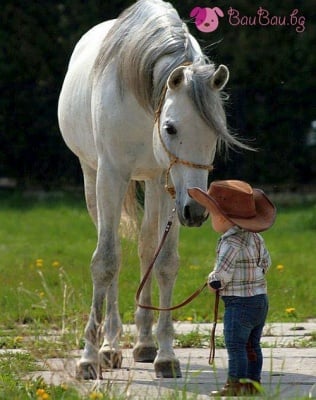 Готов да язди кон!