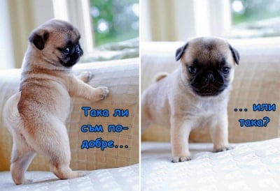 Малък голям модел