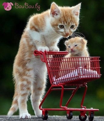 Мама и бебе на разходка