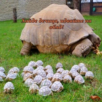 Загрижена мама