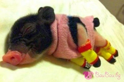 "Мама ми изплете пижамка за студените нощи!"