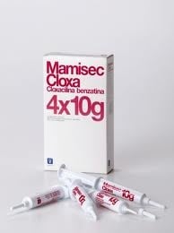 Мамисек- клокса