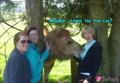 "И мама беше двугърба..."