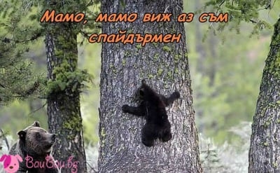 Фантазиите на едно мече