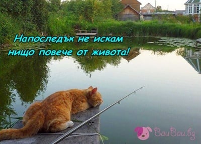 Мечтаният следобед