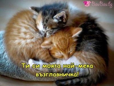 Братче и сестриче