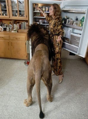 Мелани Грифит живее с лъв