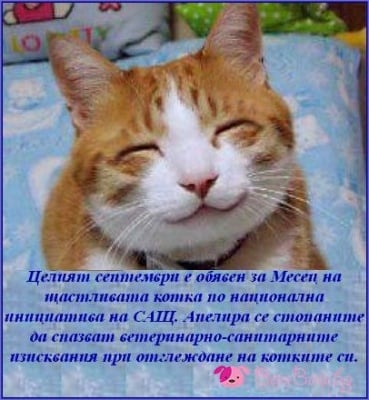 Септември - Месец на щастливата котка