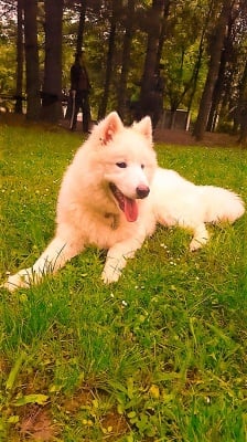 Мика на 7 месеца