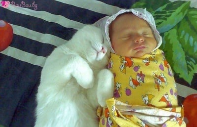 Чиста и нежна милувка за Добро утро