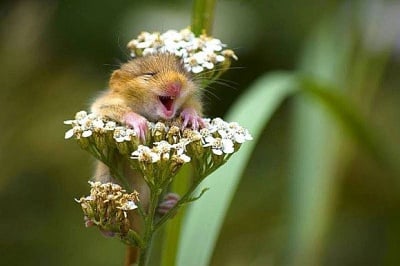 Събота-а-а-а