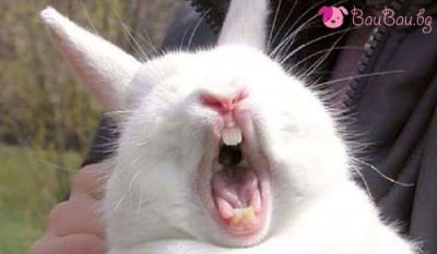 Много е рано-о-о!