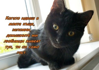 Моят дом е домът на моите животни