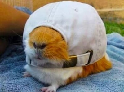 "Абе жена, пак ли не си платила тока?!"