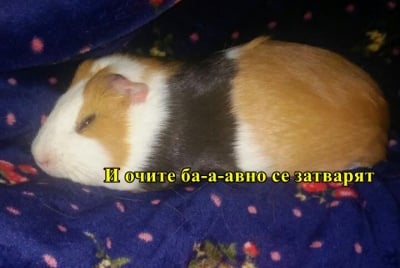 Когато очите сами се затварят