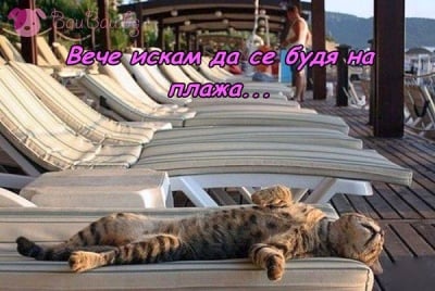 Морско утро