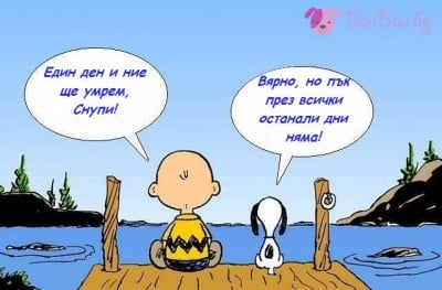 Мъдра равносметка