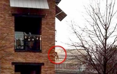 Вижте! Мъж провесва кучето си от втория етаж, за да може да отиде в банята