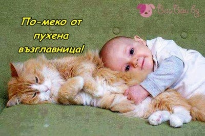 Мър - мър котенце