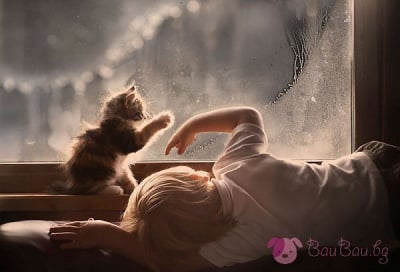 Мъгливо, но красиво утро