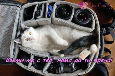 На екскурзия