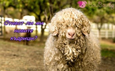 На излизане от фризьорския салон