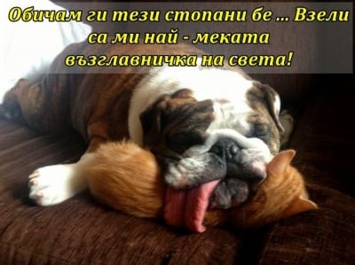 На мека възглавничка хубаво се спи