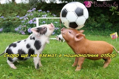 На тренировката по футбол