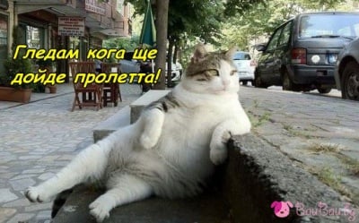 Наблюдателница