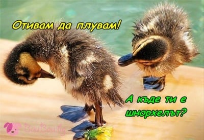 Начинаещи плувци