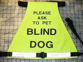 Надпис за сляпо куче