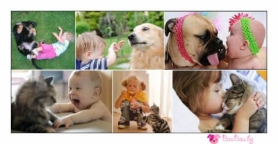 Най - чистата любов