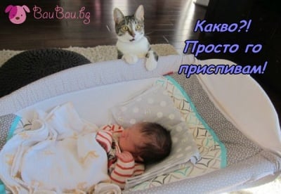 Най - гальовната бавачка