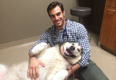 Най - готиният ветеринар, който със сигурност ще накара дамите често да водят любимеца си на преглед