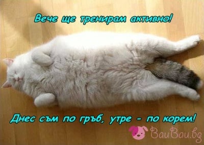 Най - хубавият спорт