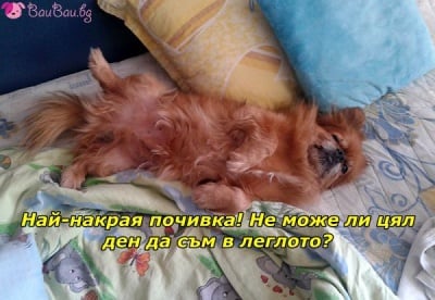 Дългоочаквана почивка