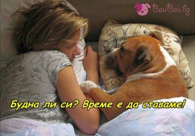 Най - нежният будилник