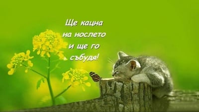 Най - приятният будилник