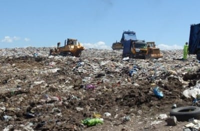 Природозащитници откриха застреляни кучета край Кубрат