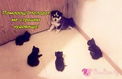 Нападение в засада