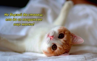 Примамливо предложение