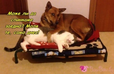 "Не искаме да се разделяме, дори и на сън!"