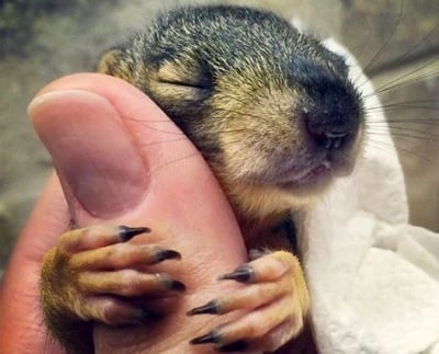 "Моля те, не ме оставяй!"