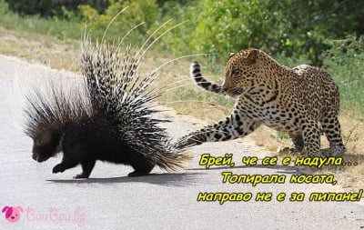 "Не си го и помисляй!"