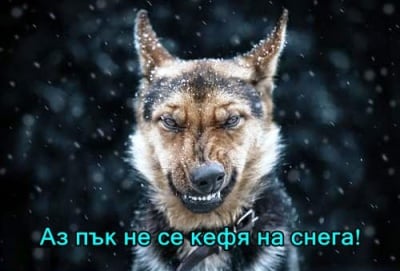 Не всеки обича снежното време