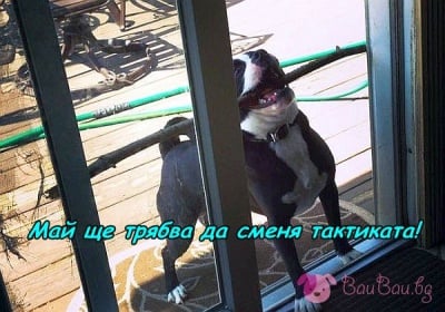 Не става само с ядене ...